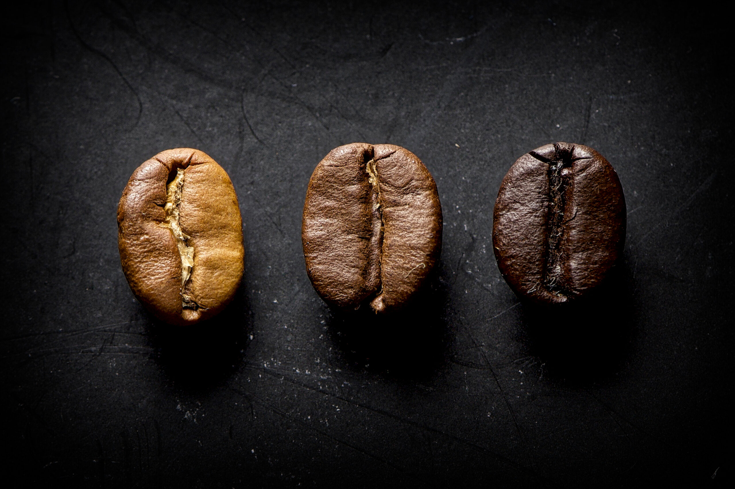 Unveiling 3 Different Types of Coffee Beans