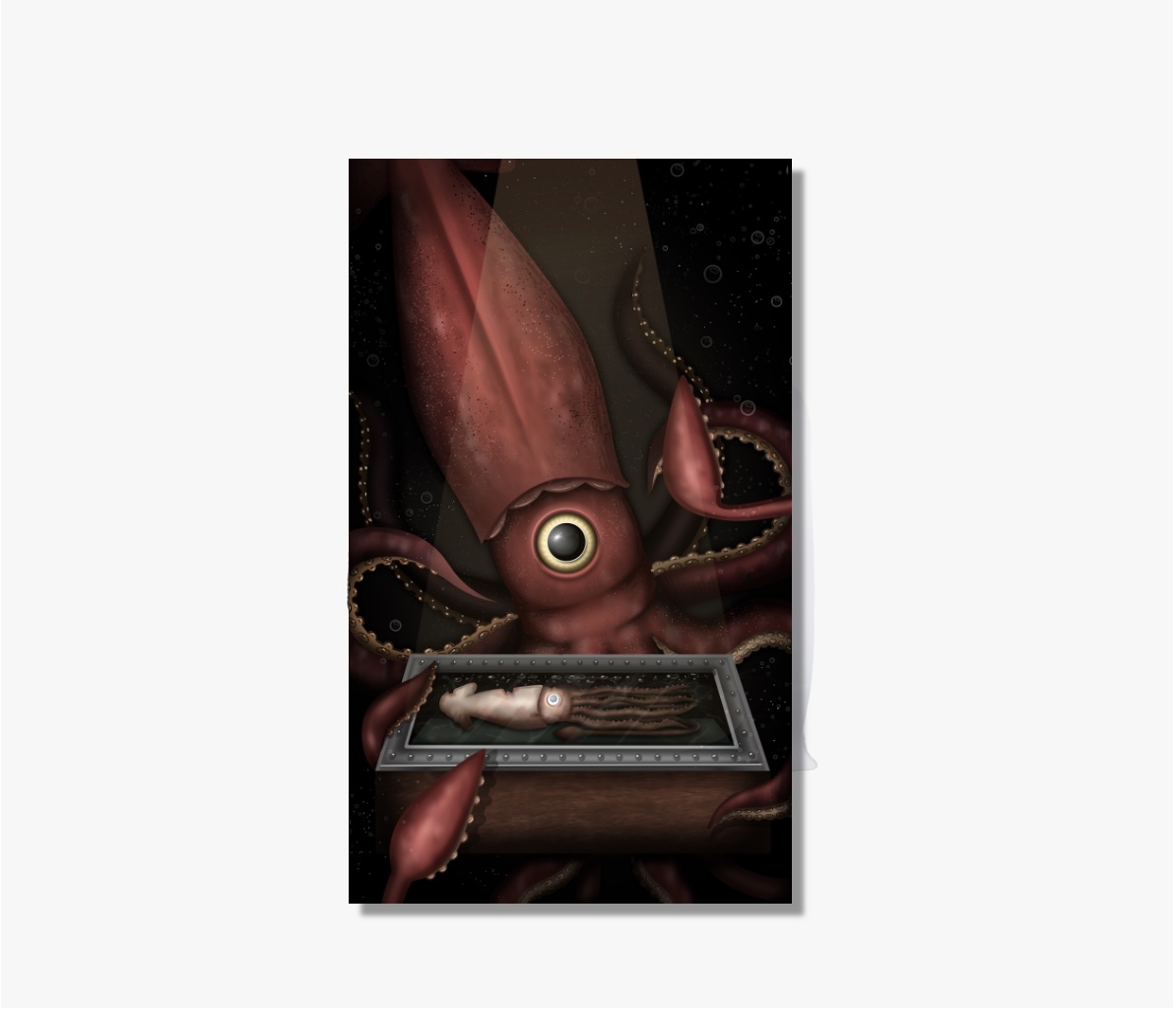 Squid